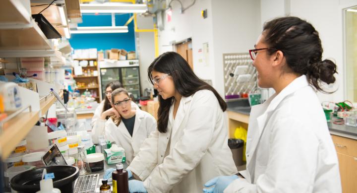 Students in lab.